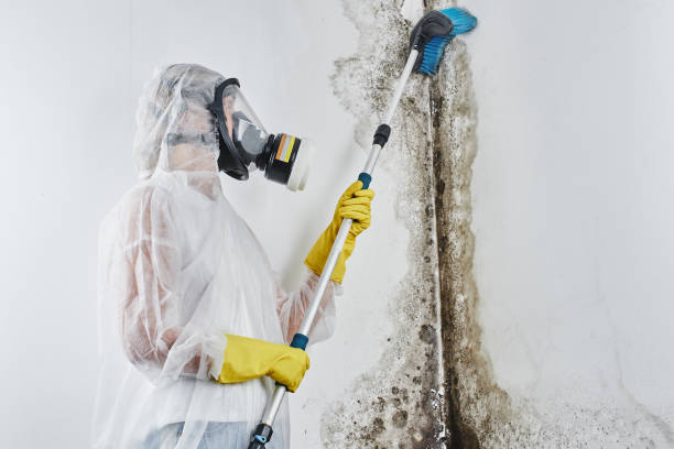 Water Damage Restoration in Ross, OH