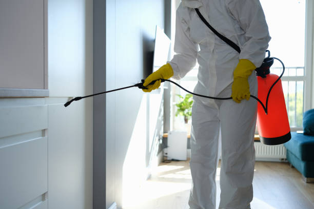 Best Best Mold Removal Companies  in Ross, OH